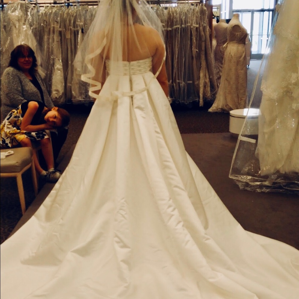 Gorgeous Brand New Wedding Dress & Veil with Tags!